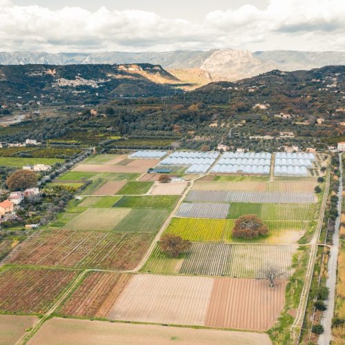 Italian agricultural farm aerial view